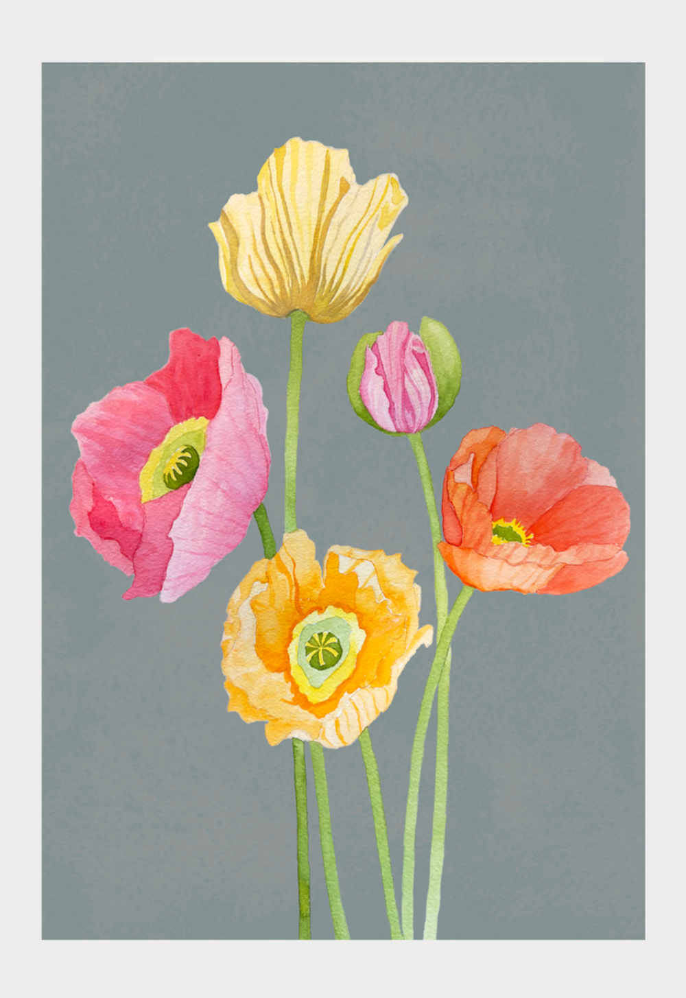 Art Print: Mixed Poppies on Grey – India \u0026 Purry, image size:792x1152