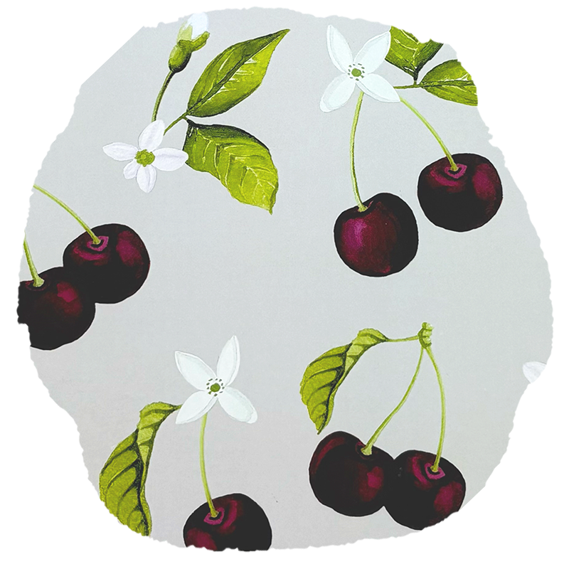 Cherries and Blossoms