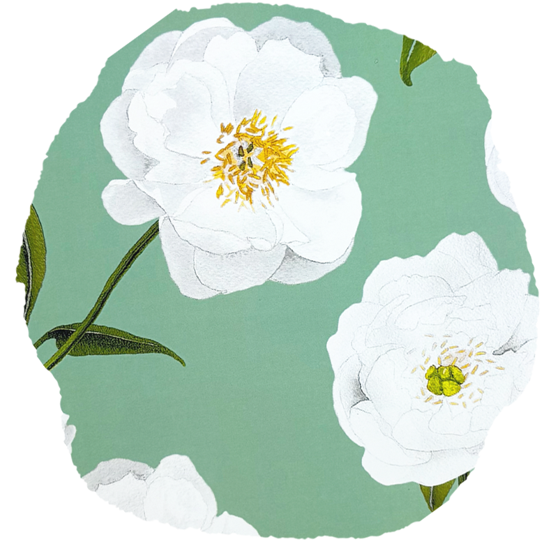 White Peonies