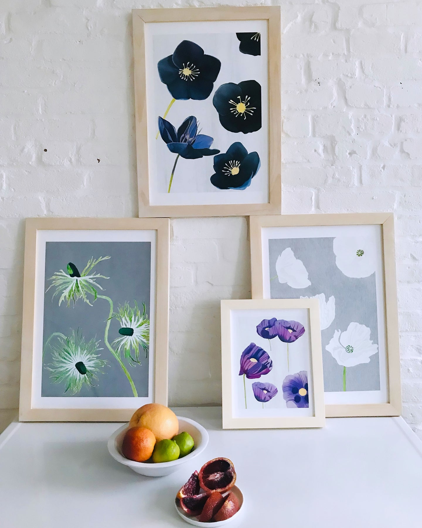 Art Print:  Black Hellebore on Snow