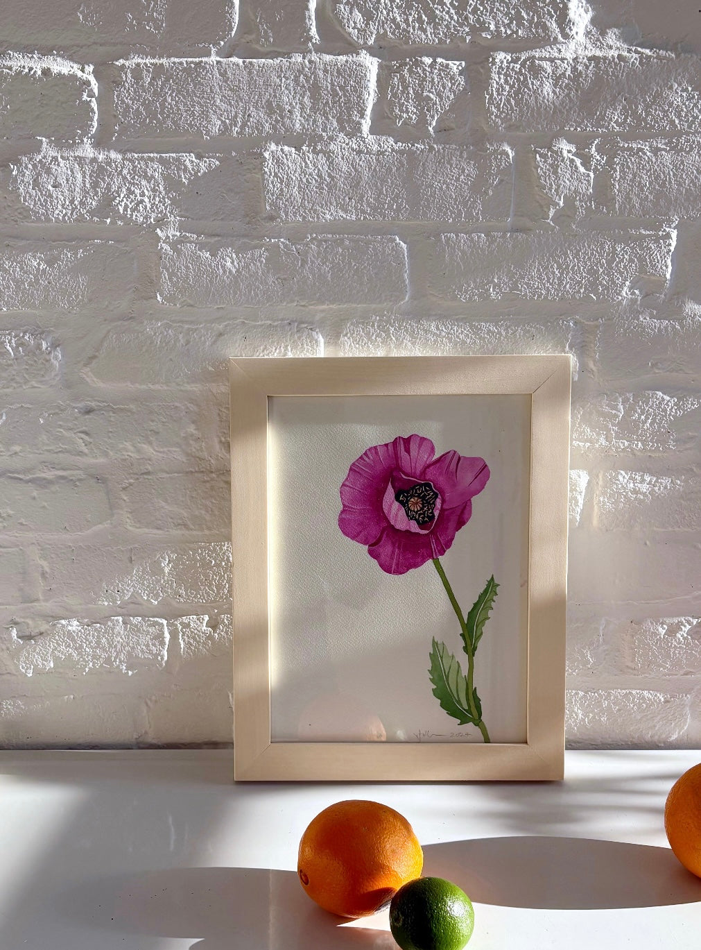 Single Fuchsia Poppy