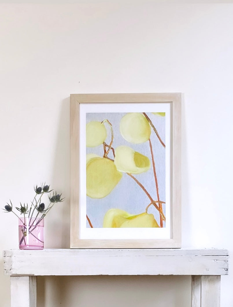 Art Print:  Milkweed on Pale Grey