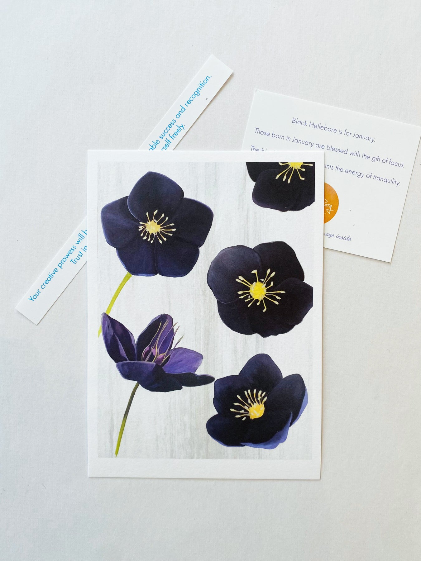 January:  Black Hellebore