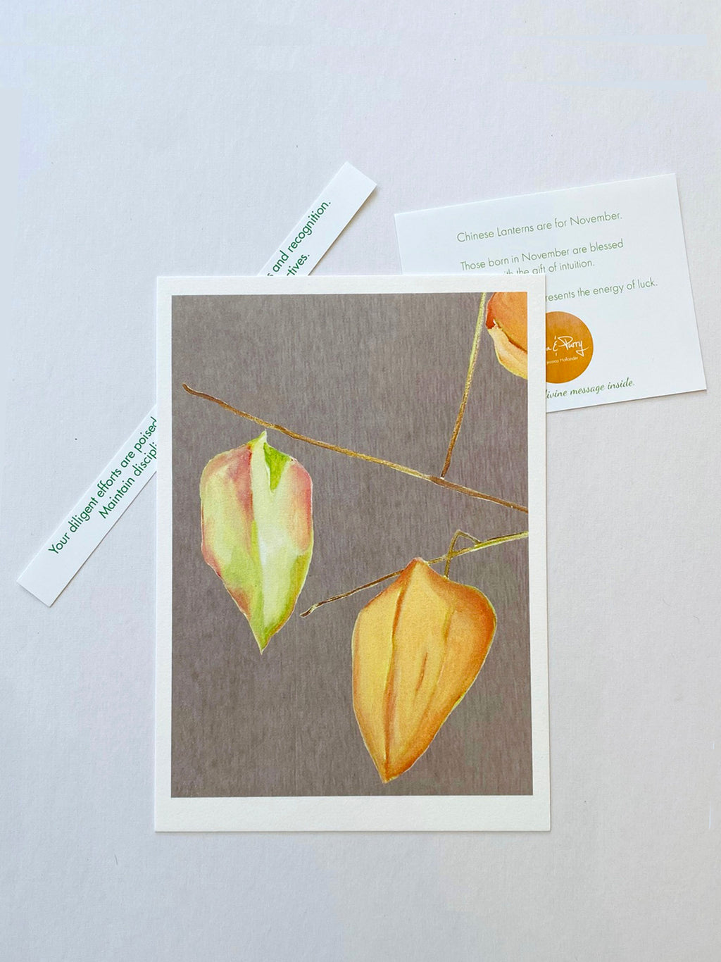 November:  Chinese Lanterns