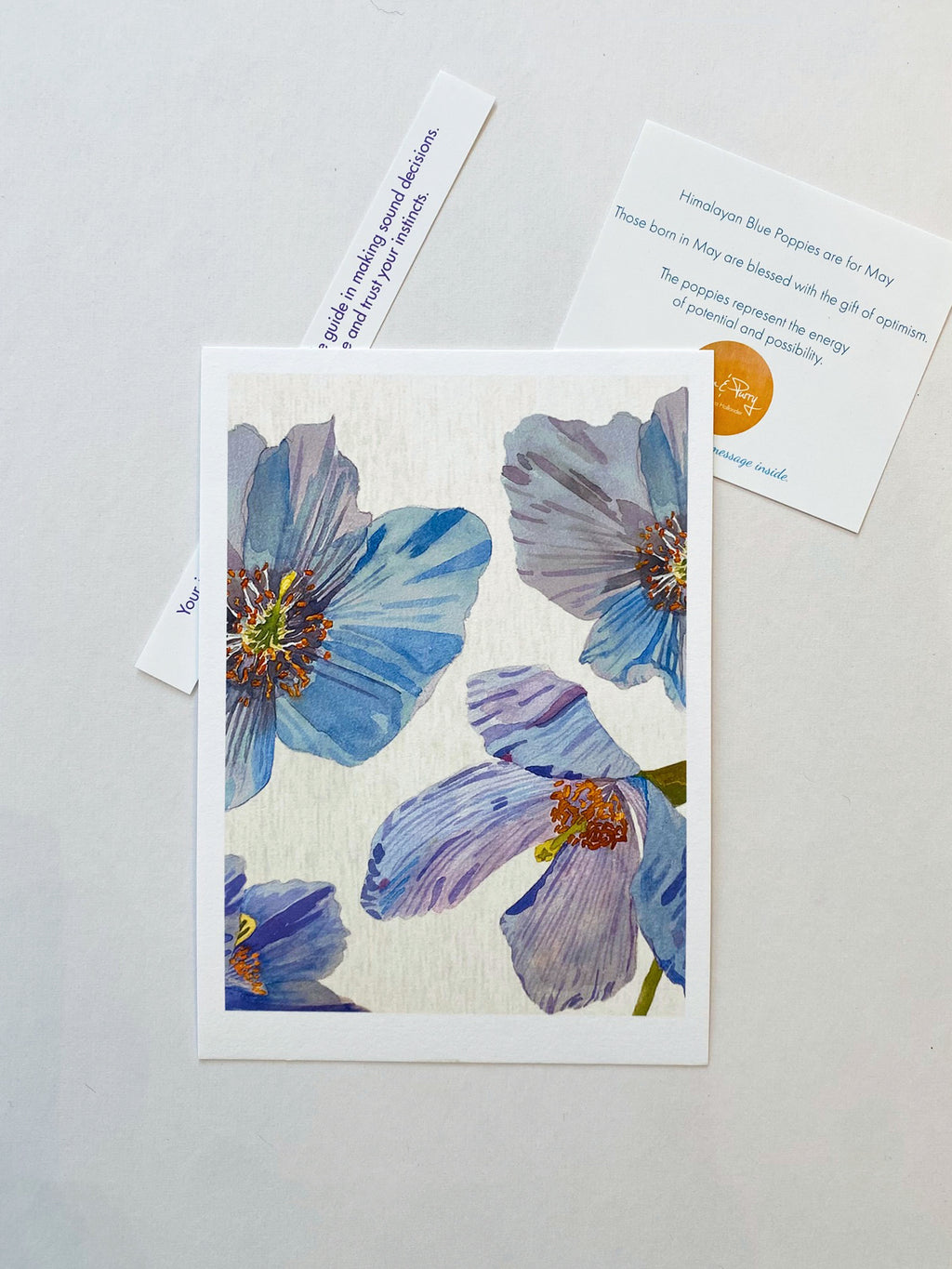 May:  Himalayan Blue Poppies