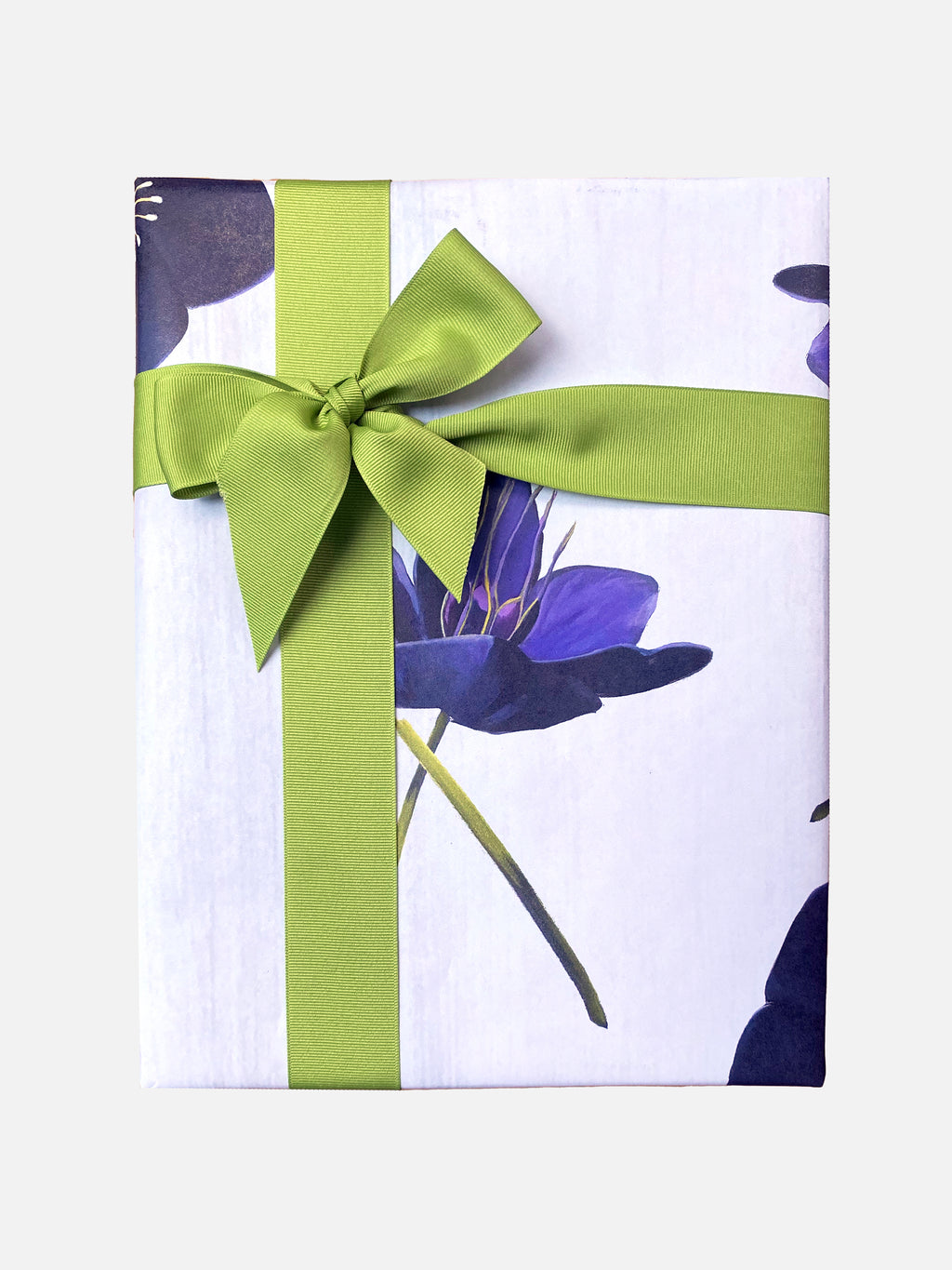 Gift Wrap:  Black Hellebore on Snow
