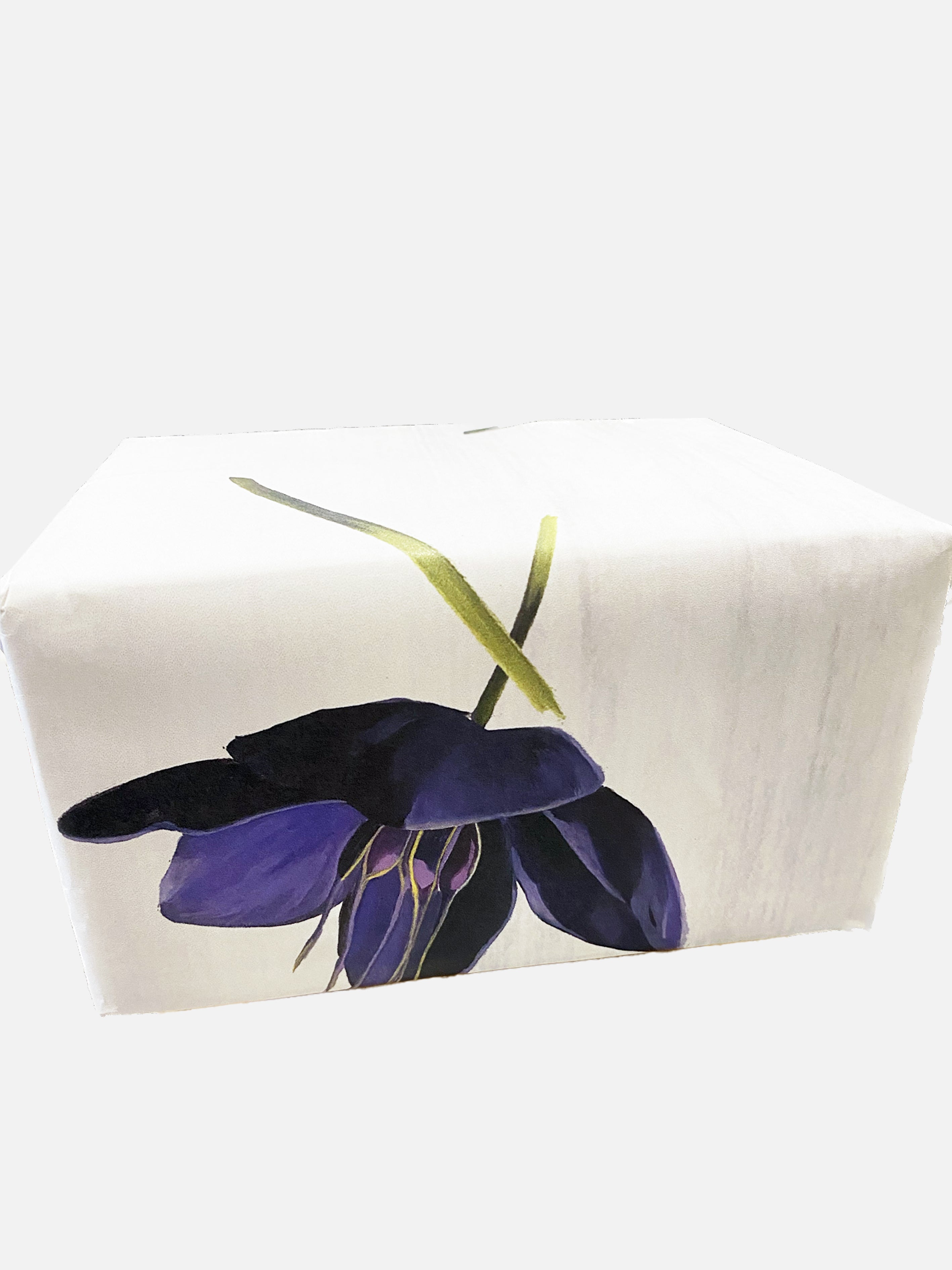 Gift Wrap:  Black Hellebore on Snow