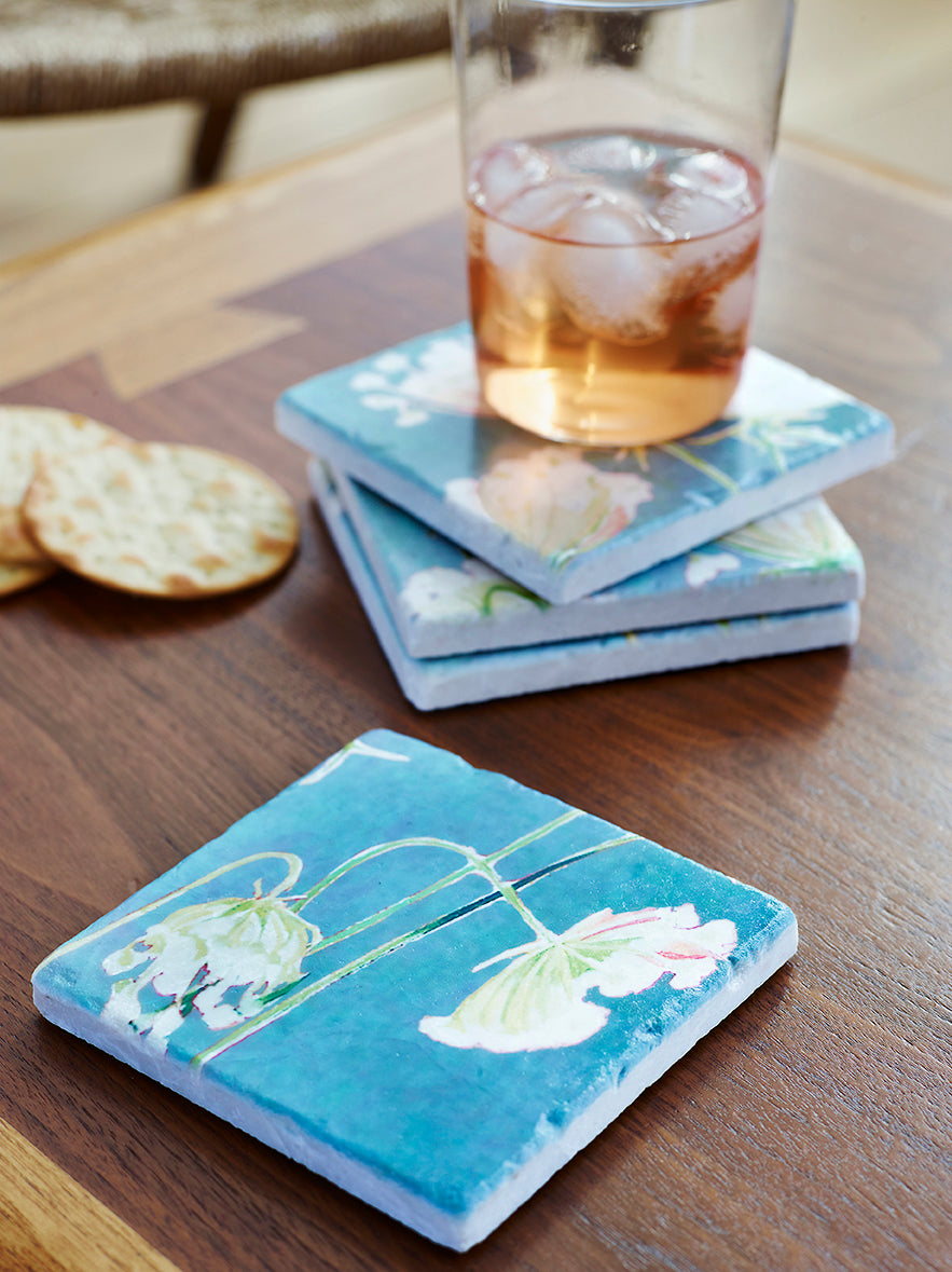 Coaster Set: Queen Anne's Lace on Teal