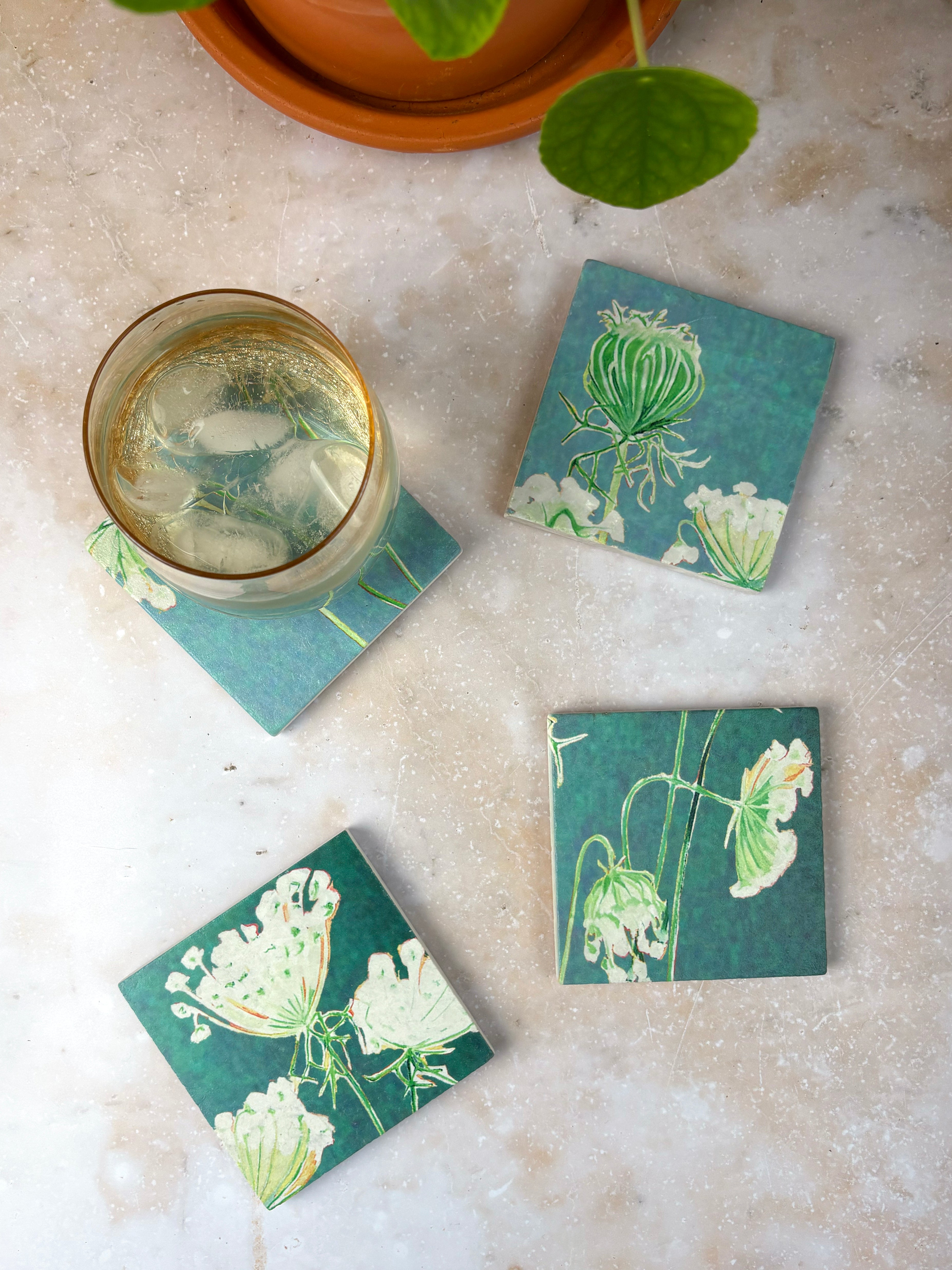 Coaster Set: Queen Anne's Lace on Teal