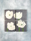 Coaster Set: White Poppies on Grey