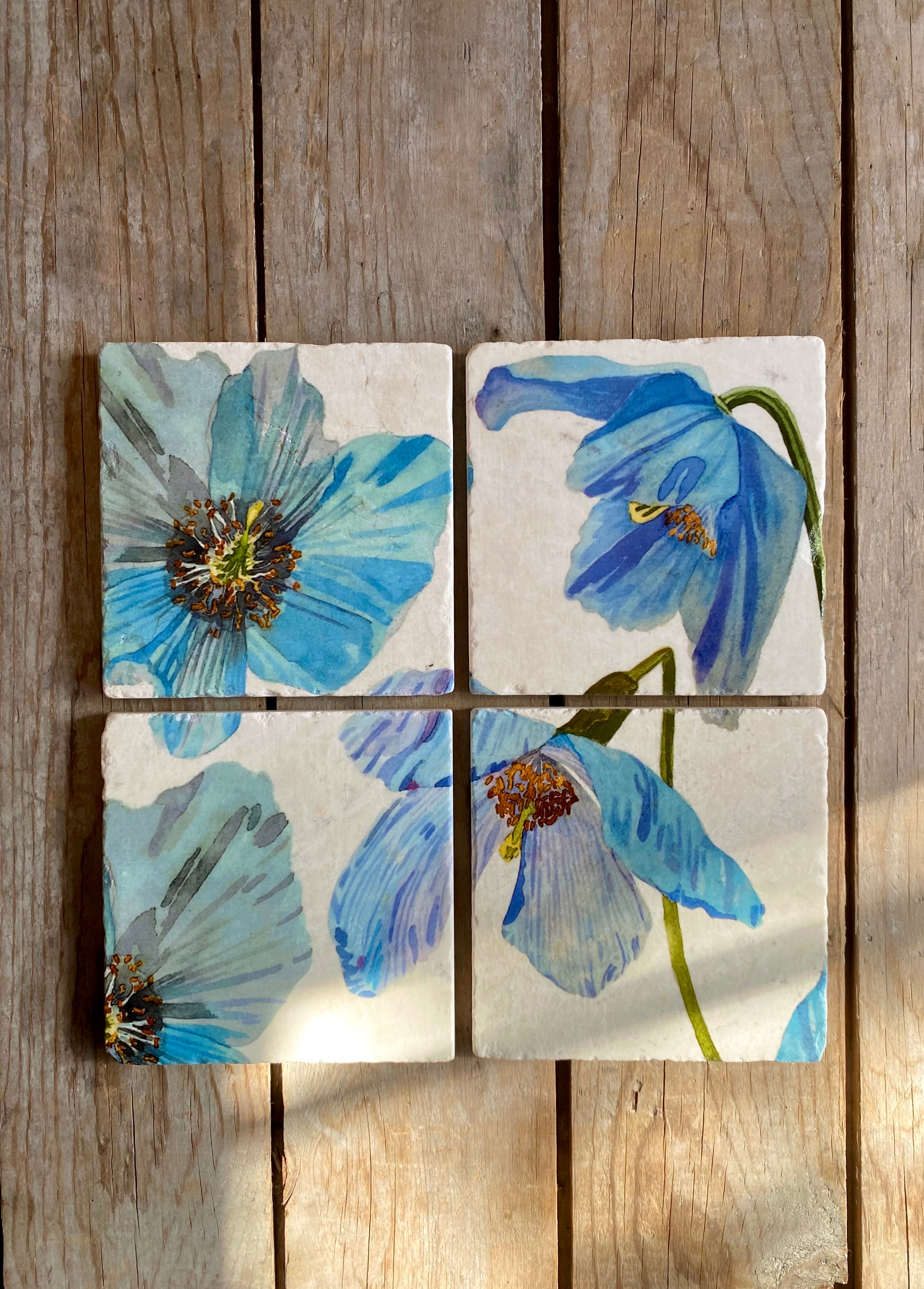 Coaster Set: Himalayan Blue Poppies on Ecru