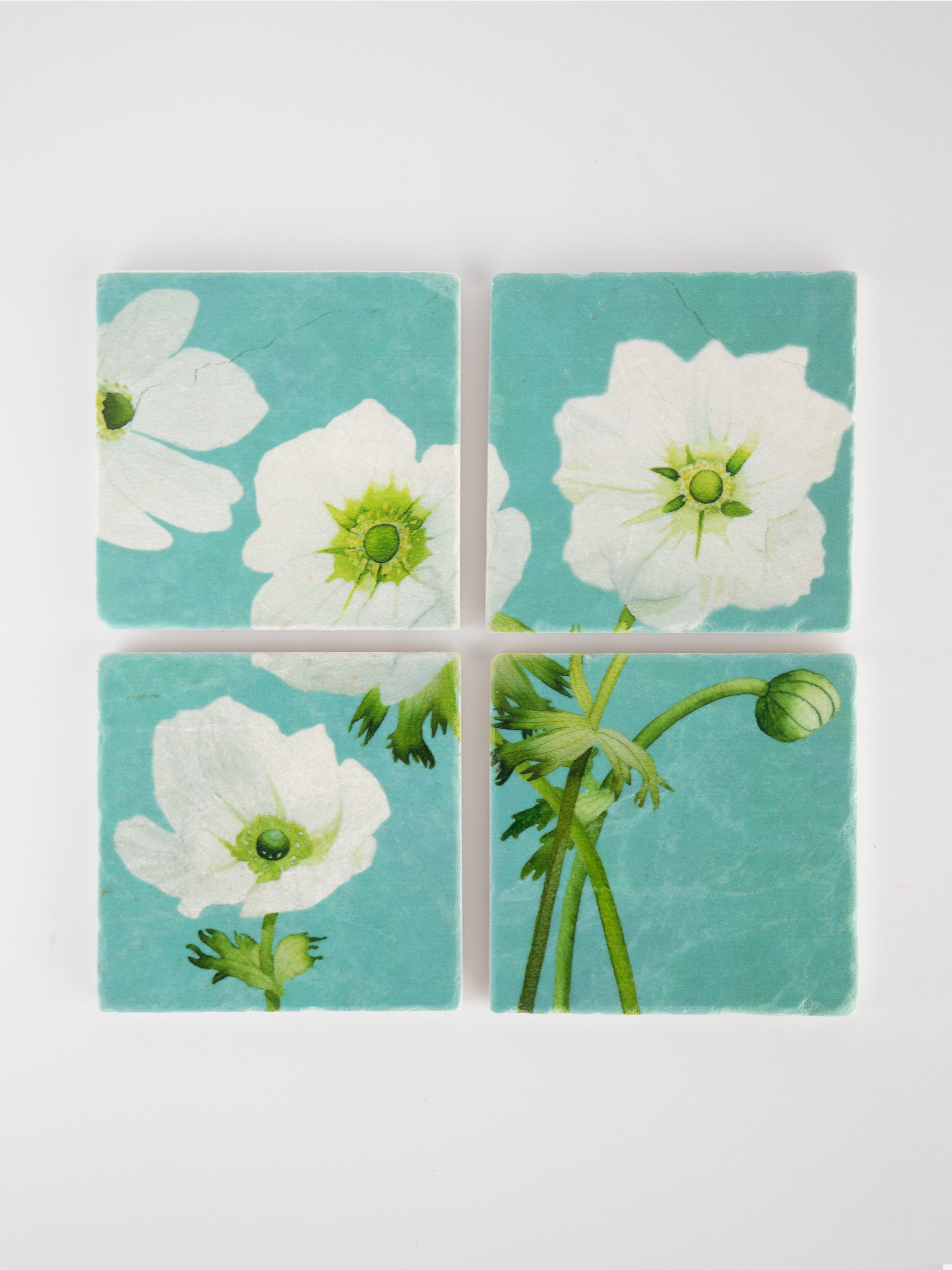 Coaster Set: White Anemone on Sky