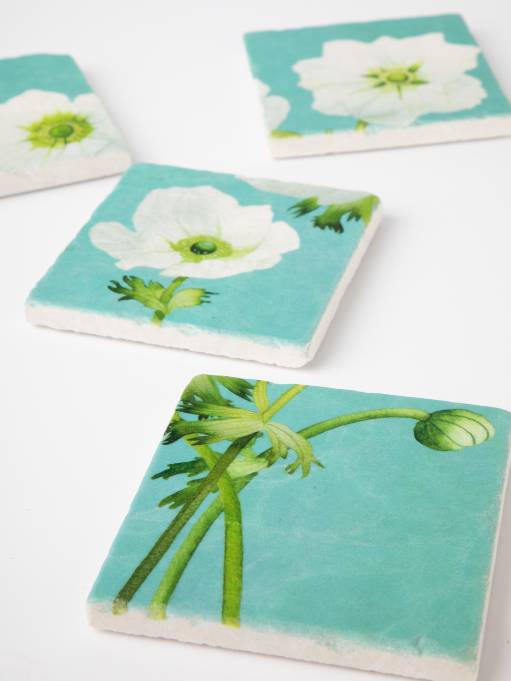 Coaster Set: White Anemone on Sky