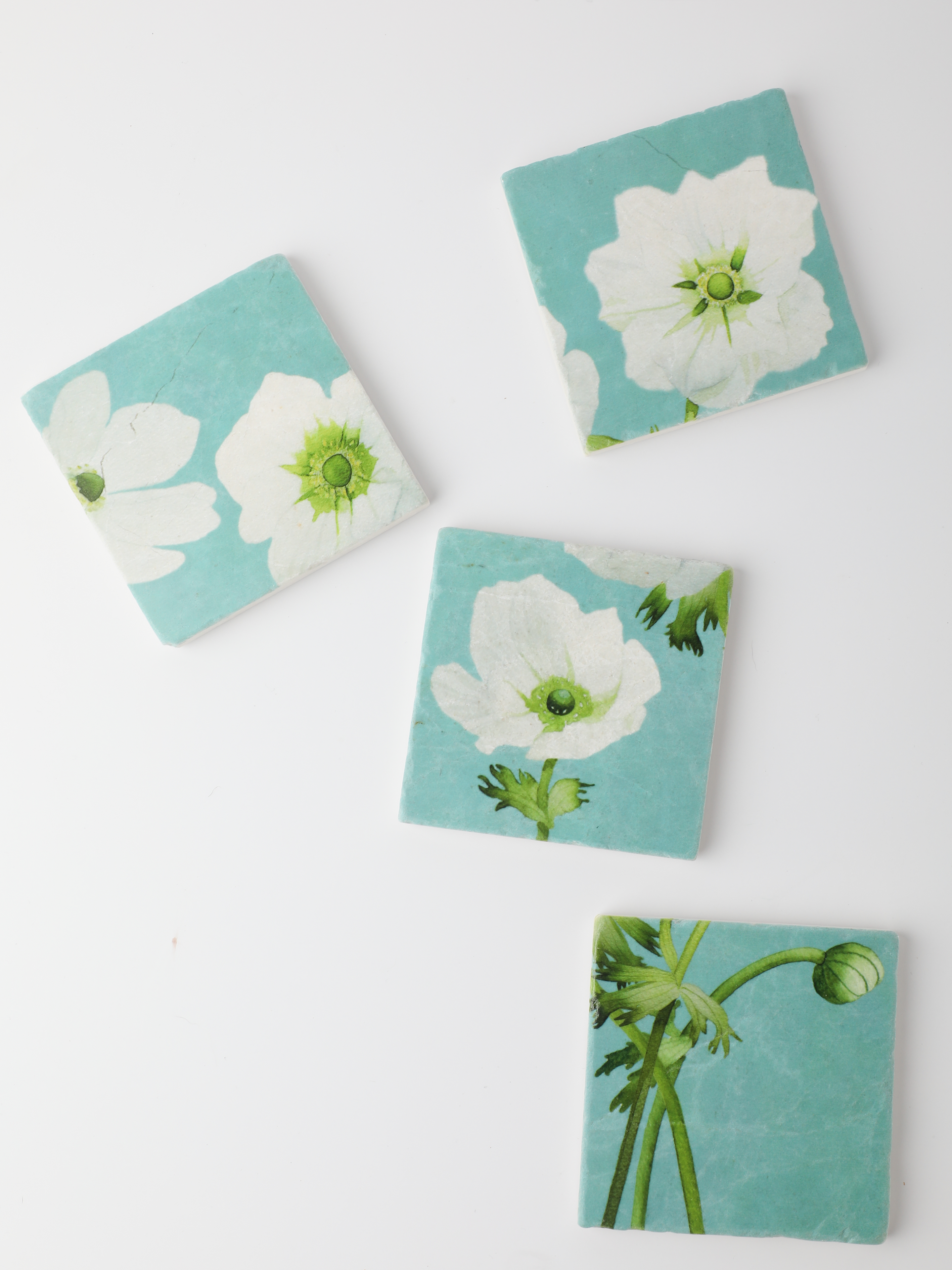 Coaster Set: White Anemone on Sky