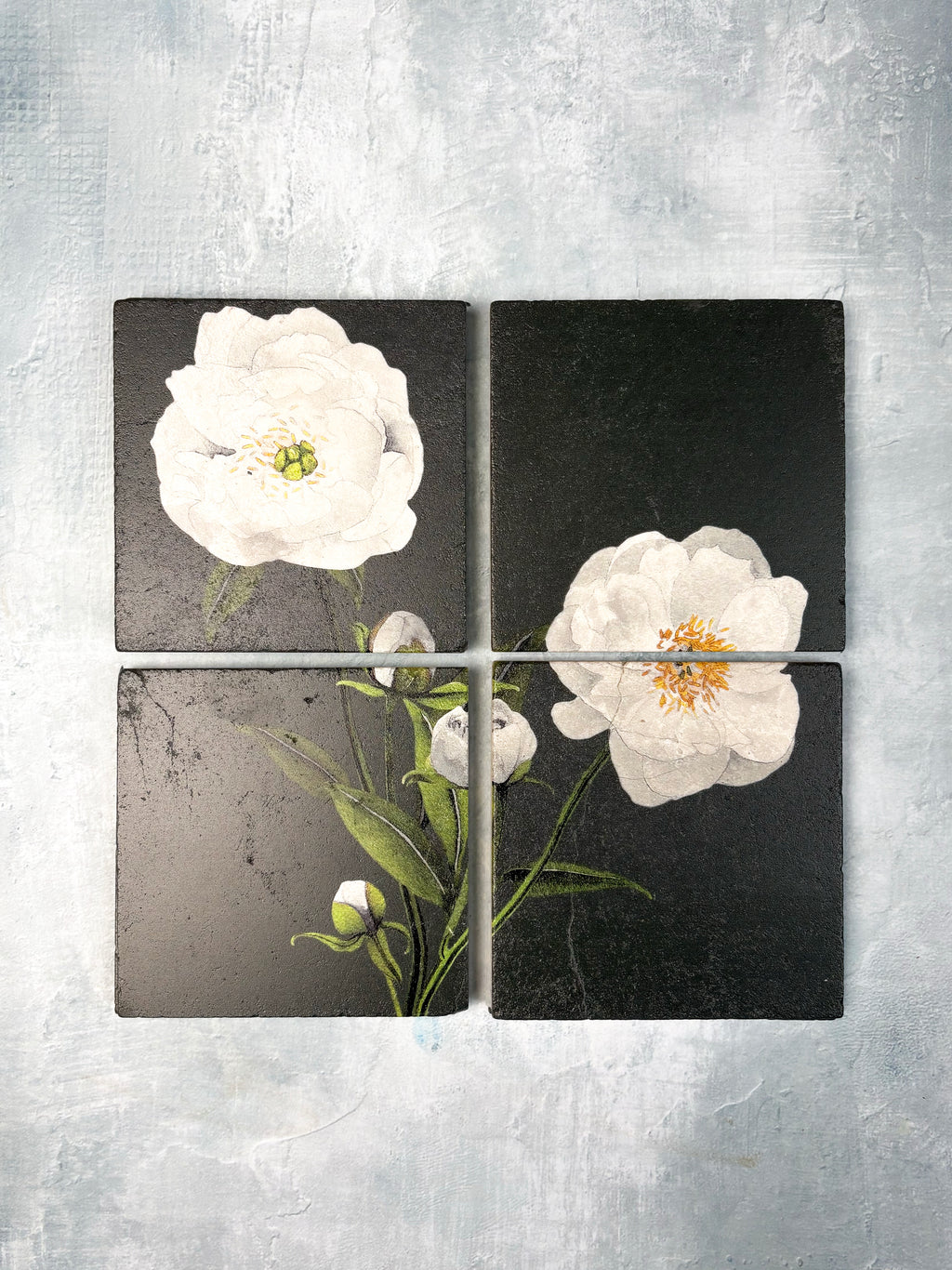 Coaster Set: White Peonies on Olive