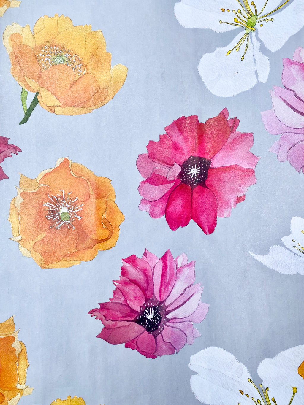 Gift Wrap:  Cactus Flowers on Grey