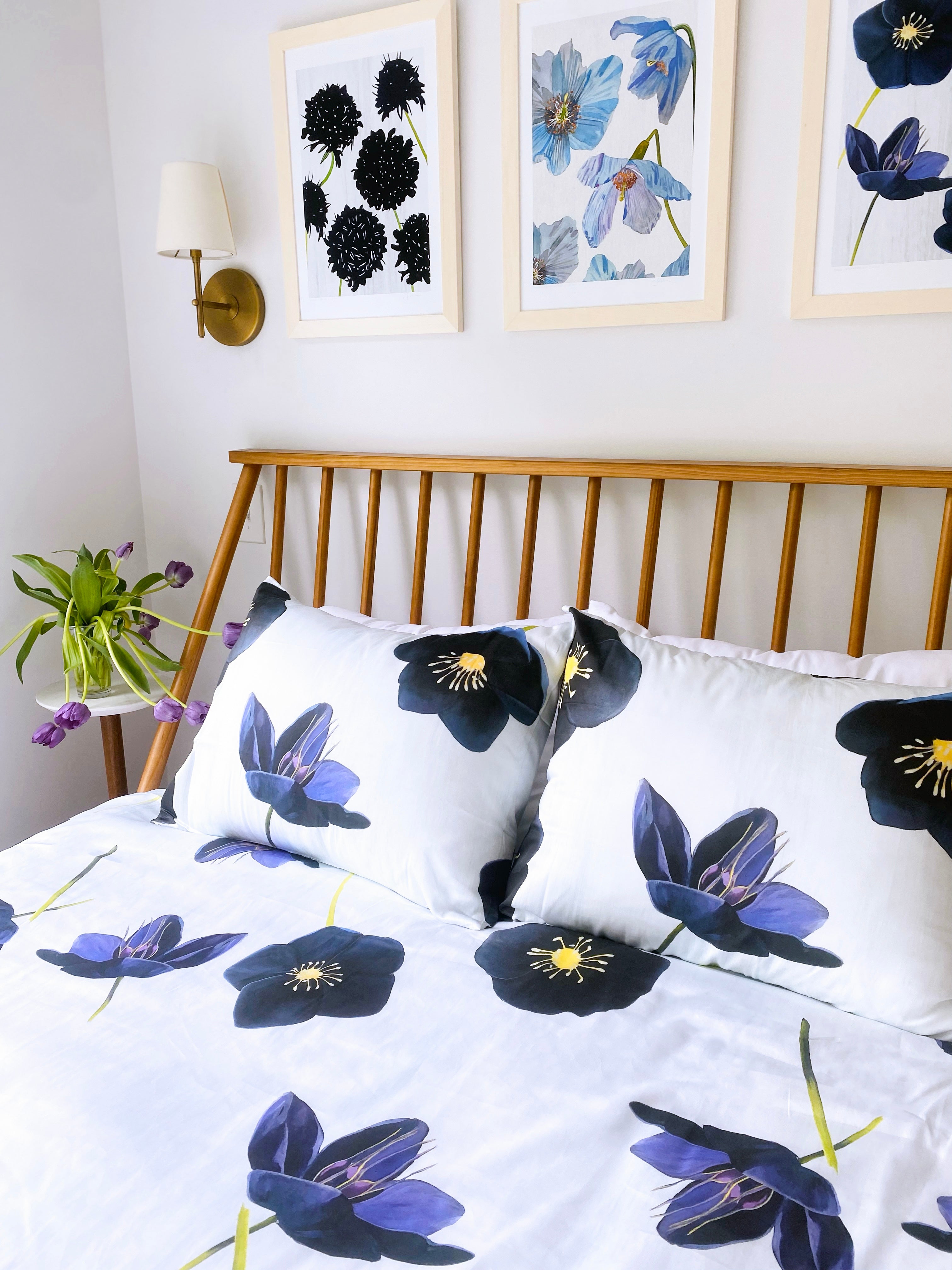 Sham: Black Hellebore on Snow