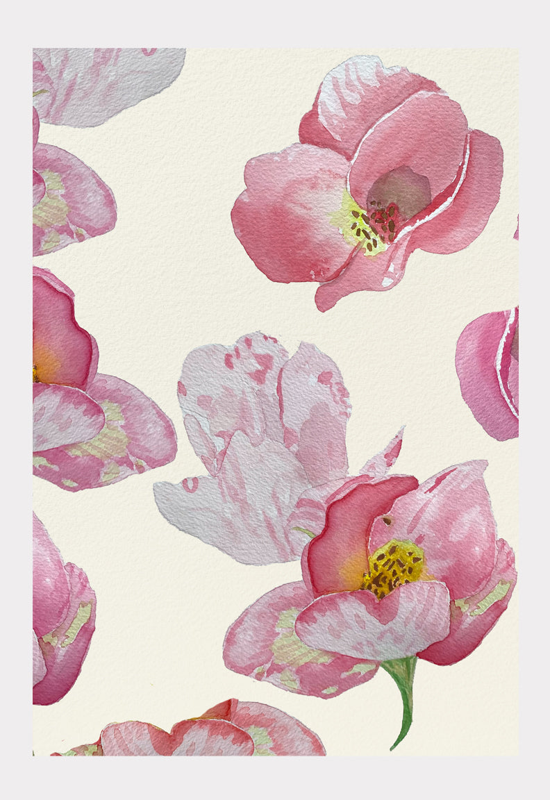 Art Print:  Wild Dog Rose on Ecru