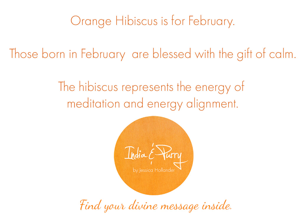 February:  Orange Hibiscus