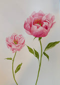 Original Peony Painting, Framed