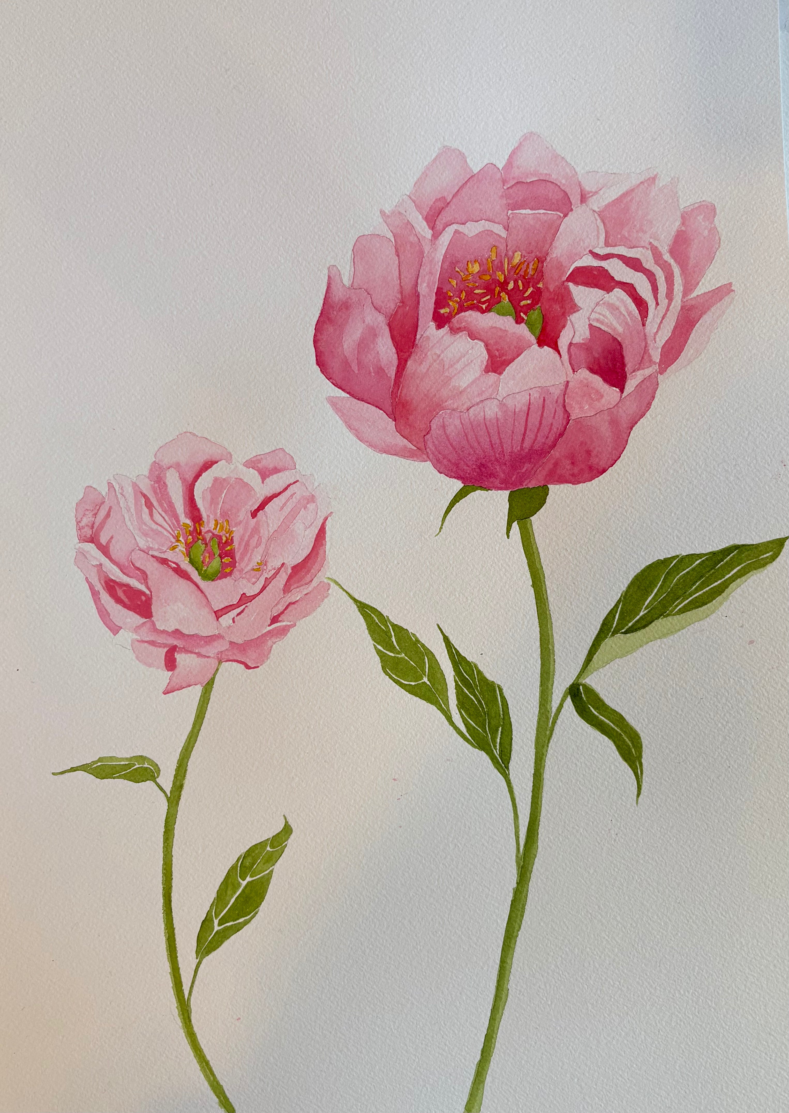 Original Peony Painting, Framed