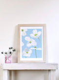 Art Print:  White Dogwood Blossoms on Pale Blue