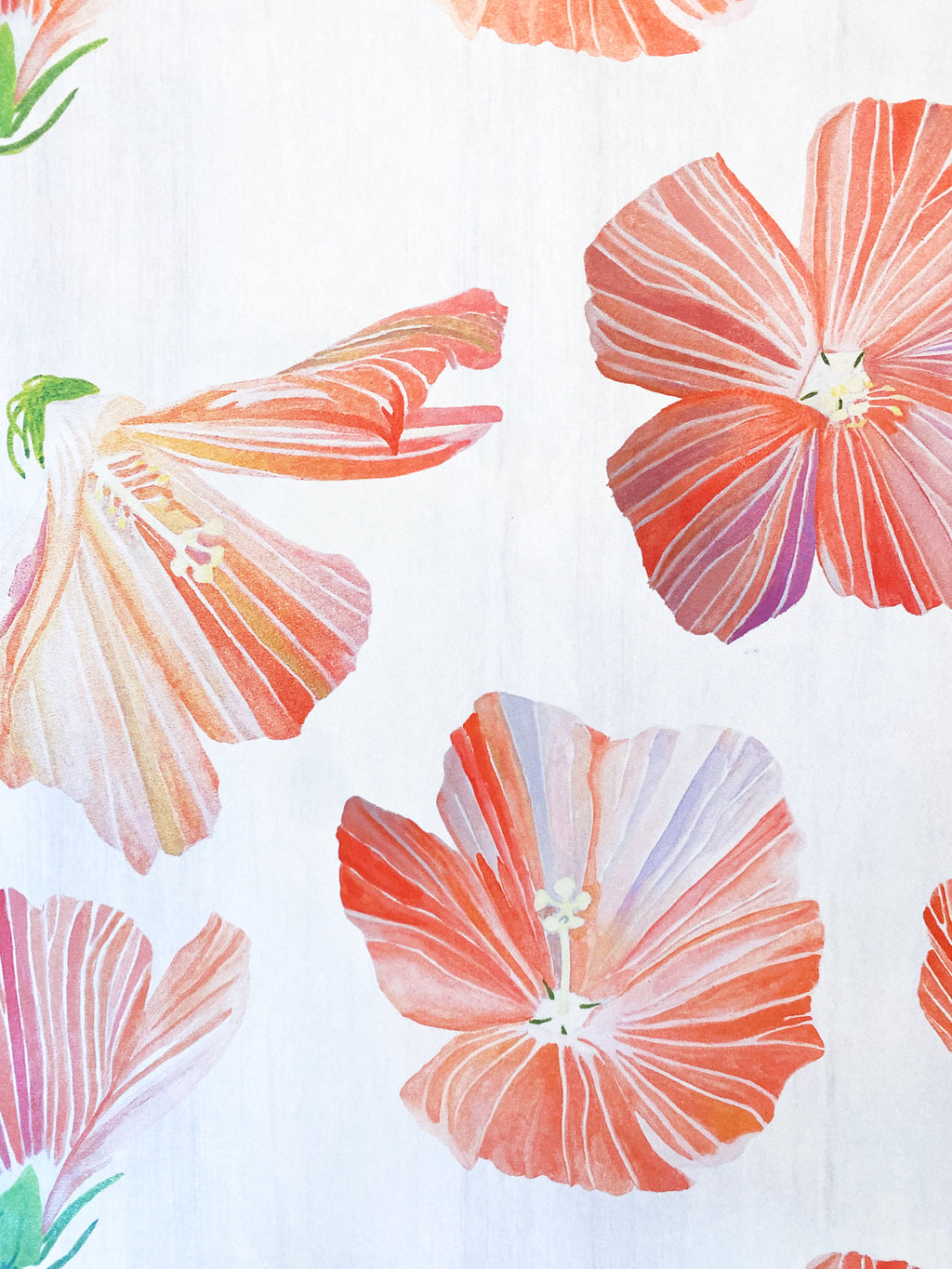 Gift Wrap:  Hibiscus on Snow