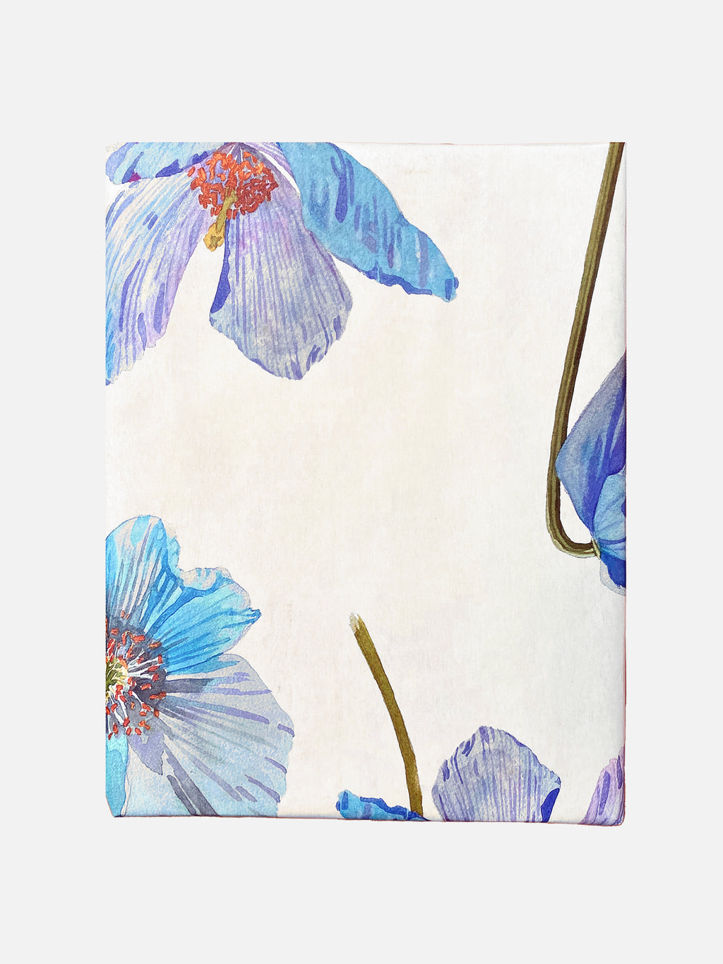 Gift Wrap:  Himalayan Blue Poppies on Ecru