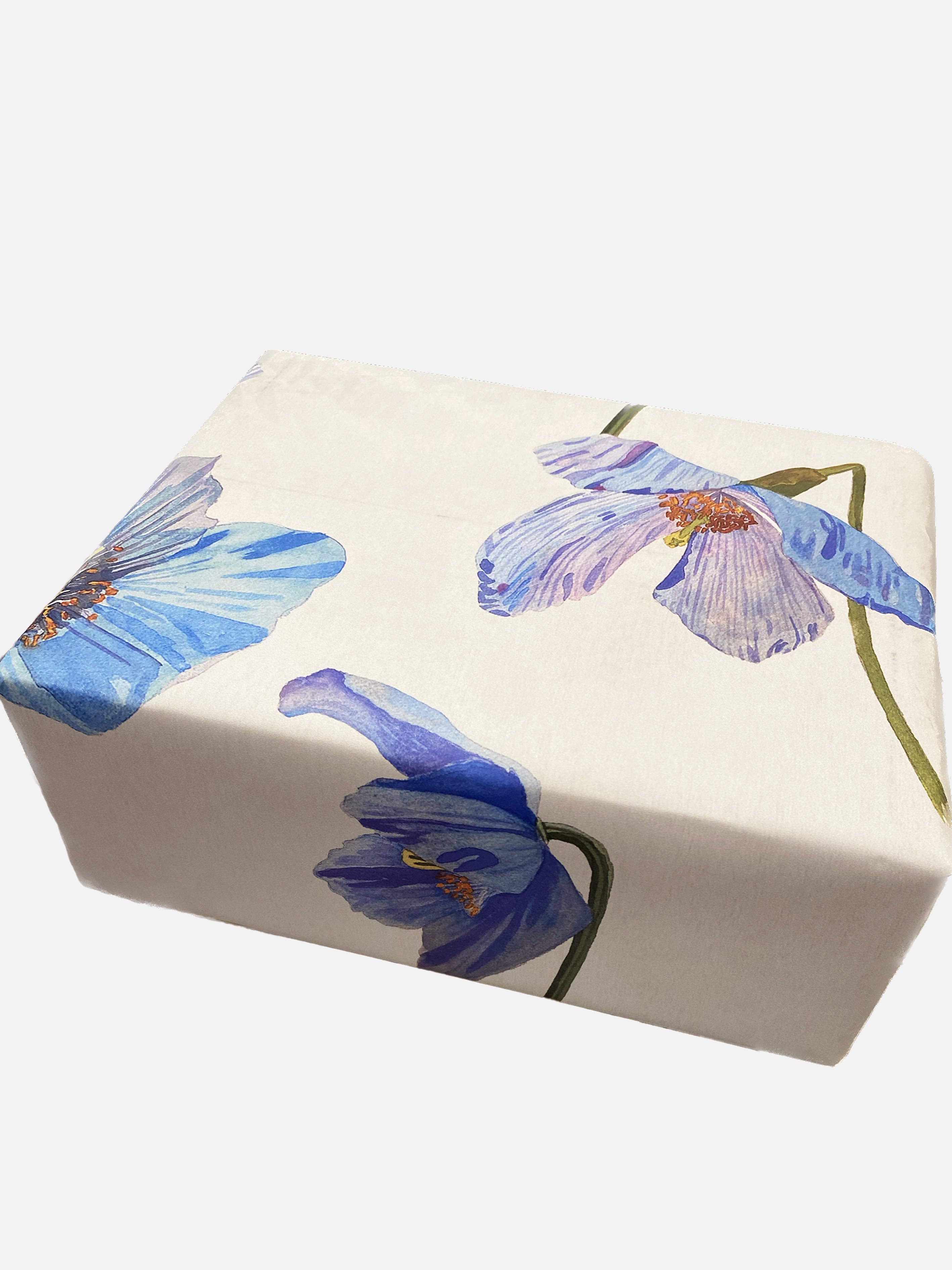 Gift Wrap:  Himalayan Blue Poppies on Ecru