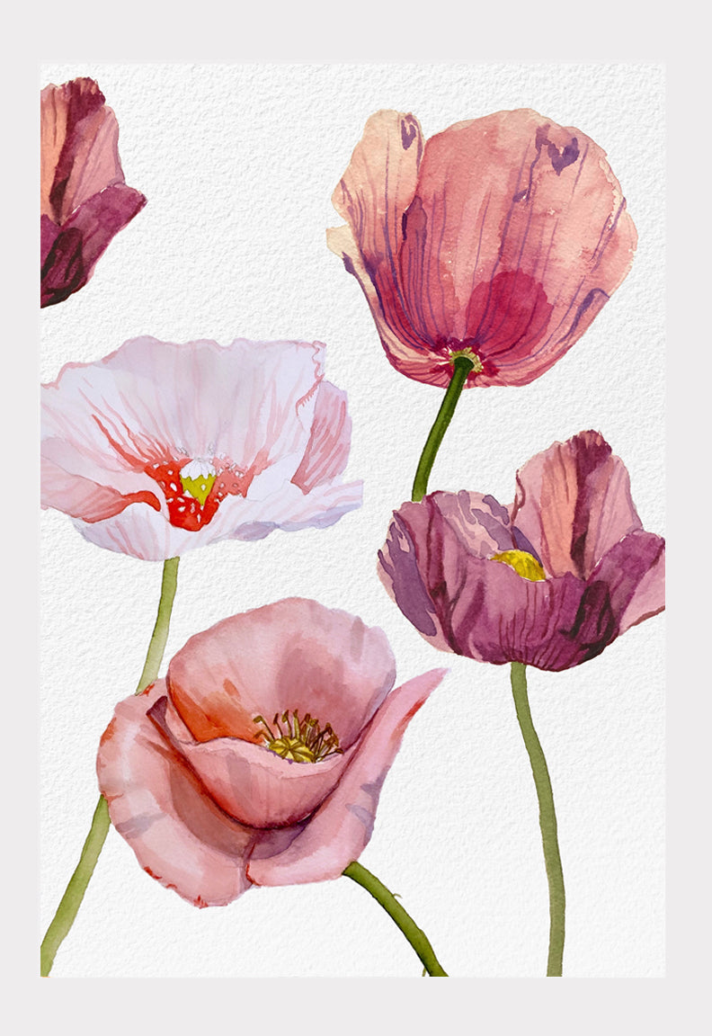 Art Print:  Blush Poppies on Snow
