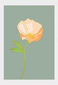 Art Print: Les Petites Fleurs Peony No. 2