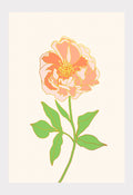 Art Print: Les Petites Fleurs Peony No. 3