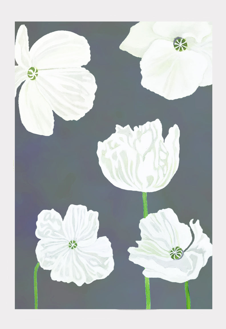 Art Print: White Poppies on Moody Blue