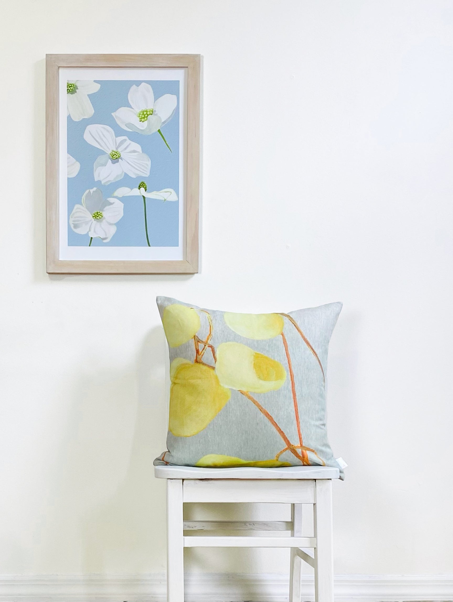 Art Print:  White Dogwood Blossoms on Pale Blue