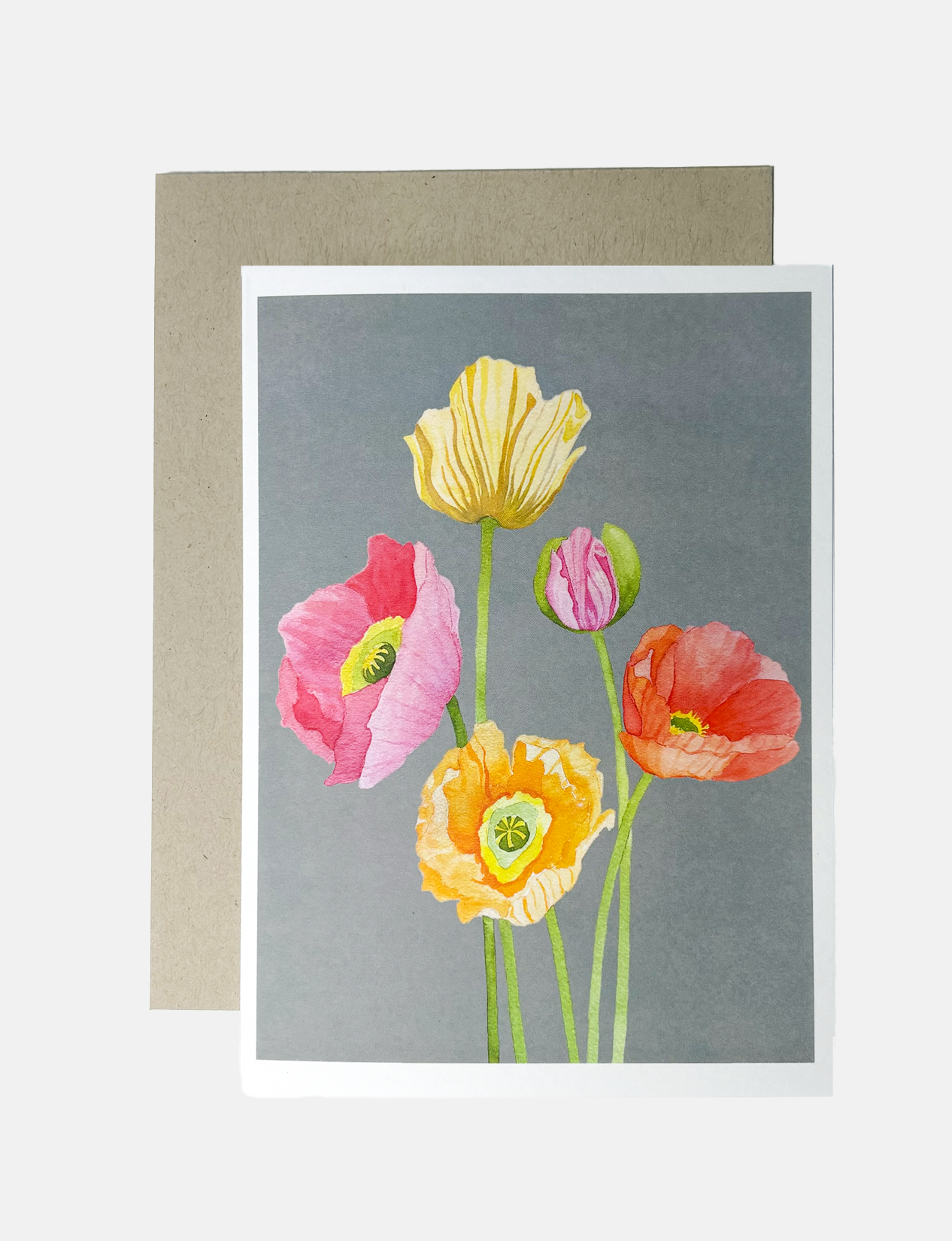 Notecard:  Mixed Poppies on Grey