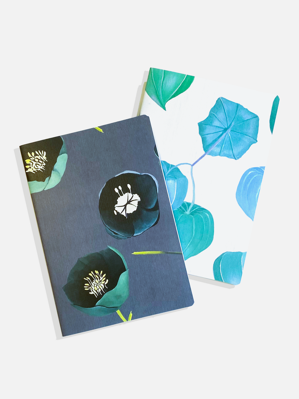 Notebook Set:  Aqua Chinese Lanterns & Green Winter Rose