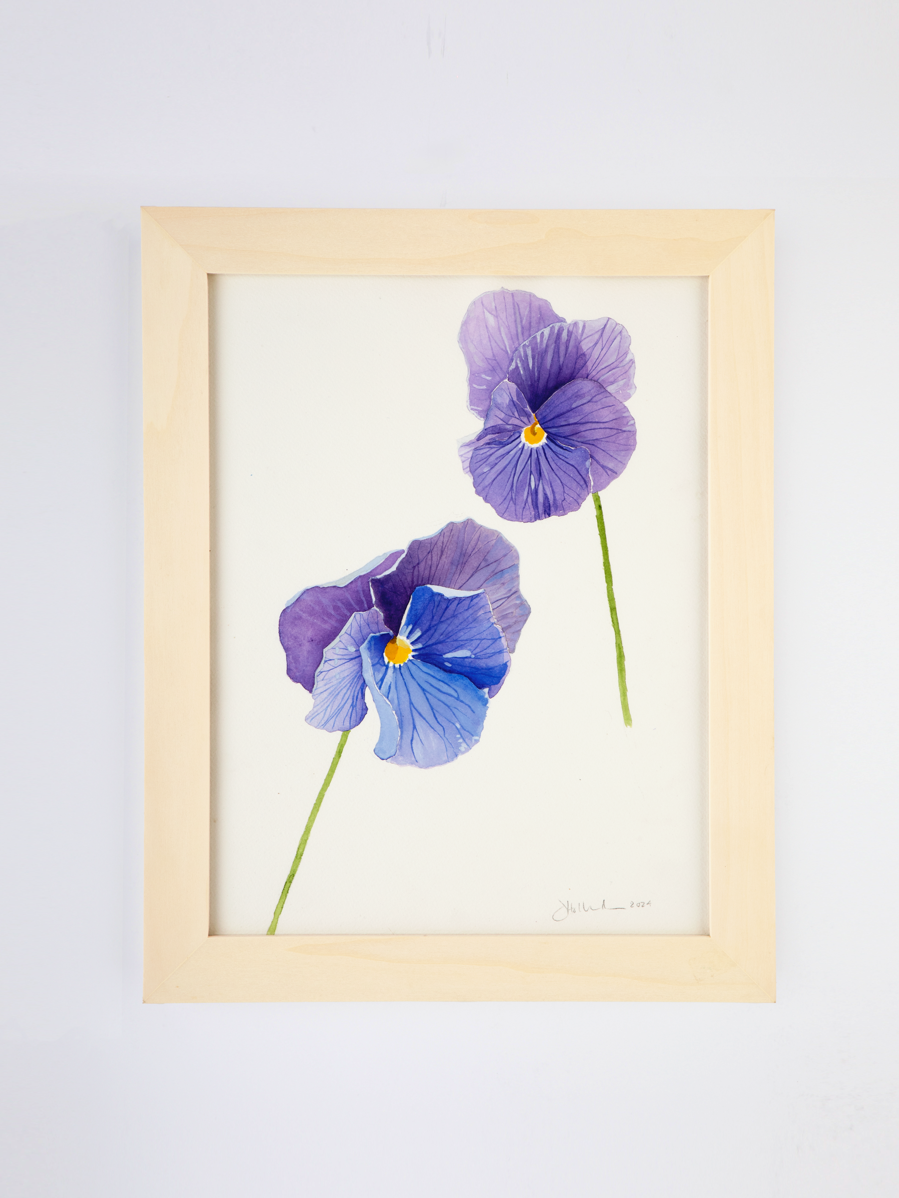 Violet Pansies