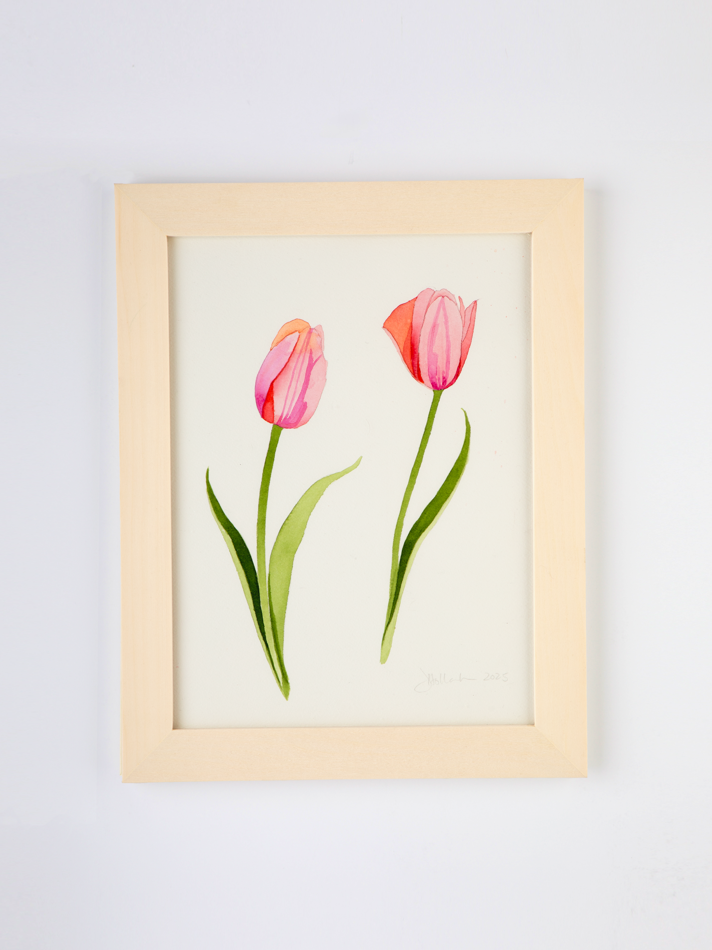 Pink Tulips No. 2