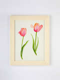 Pink Tulips No. 1