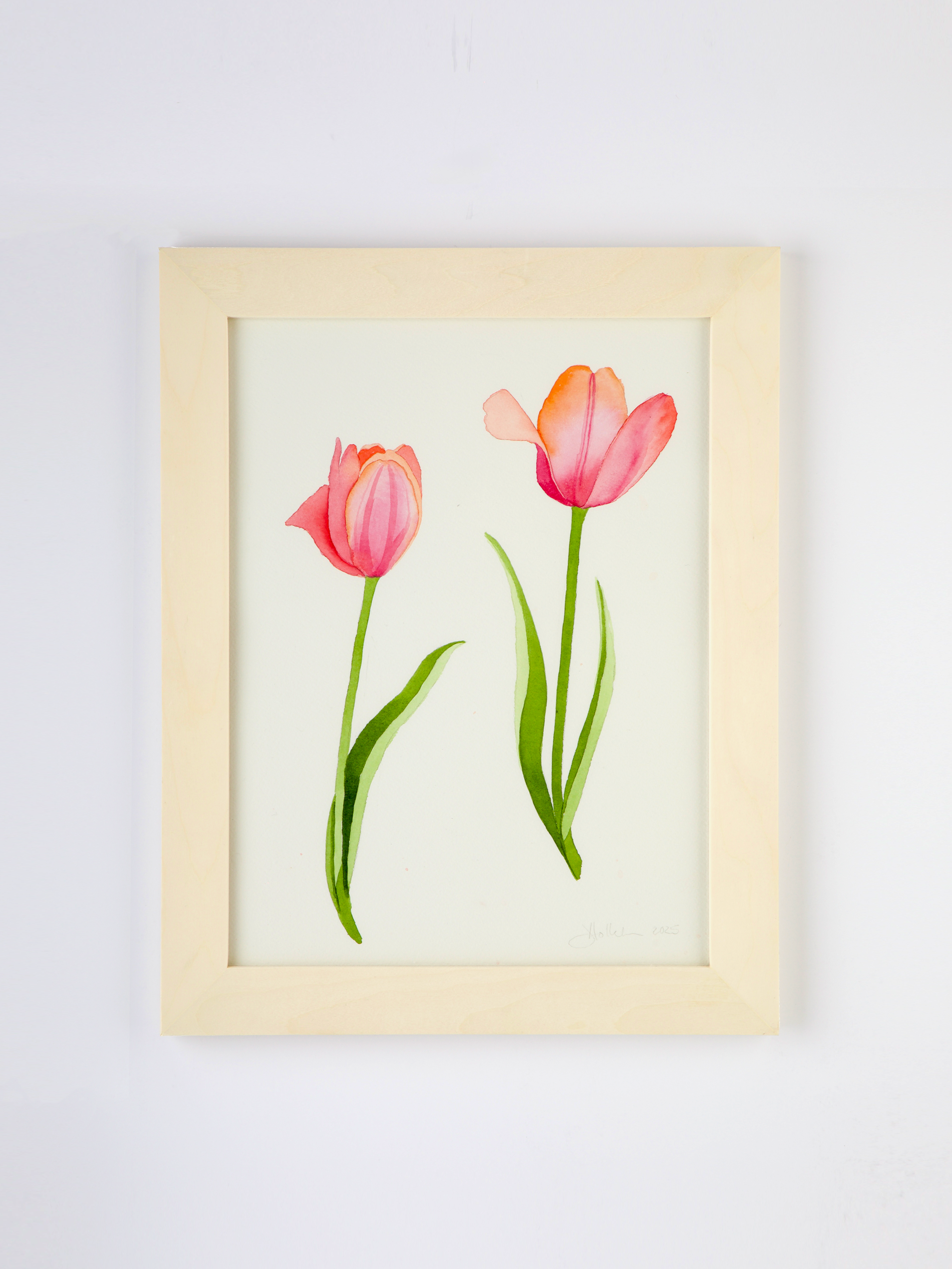 Pink Tulips No. 1