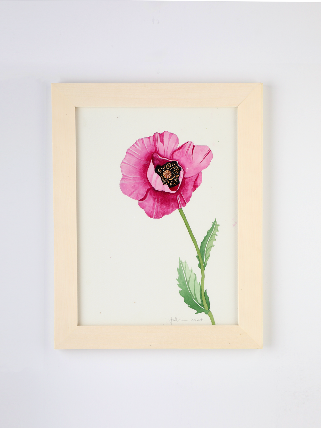 Single Fuchsia Poppy