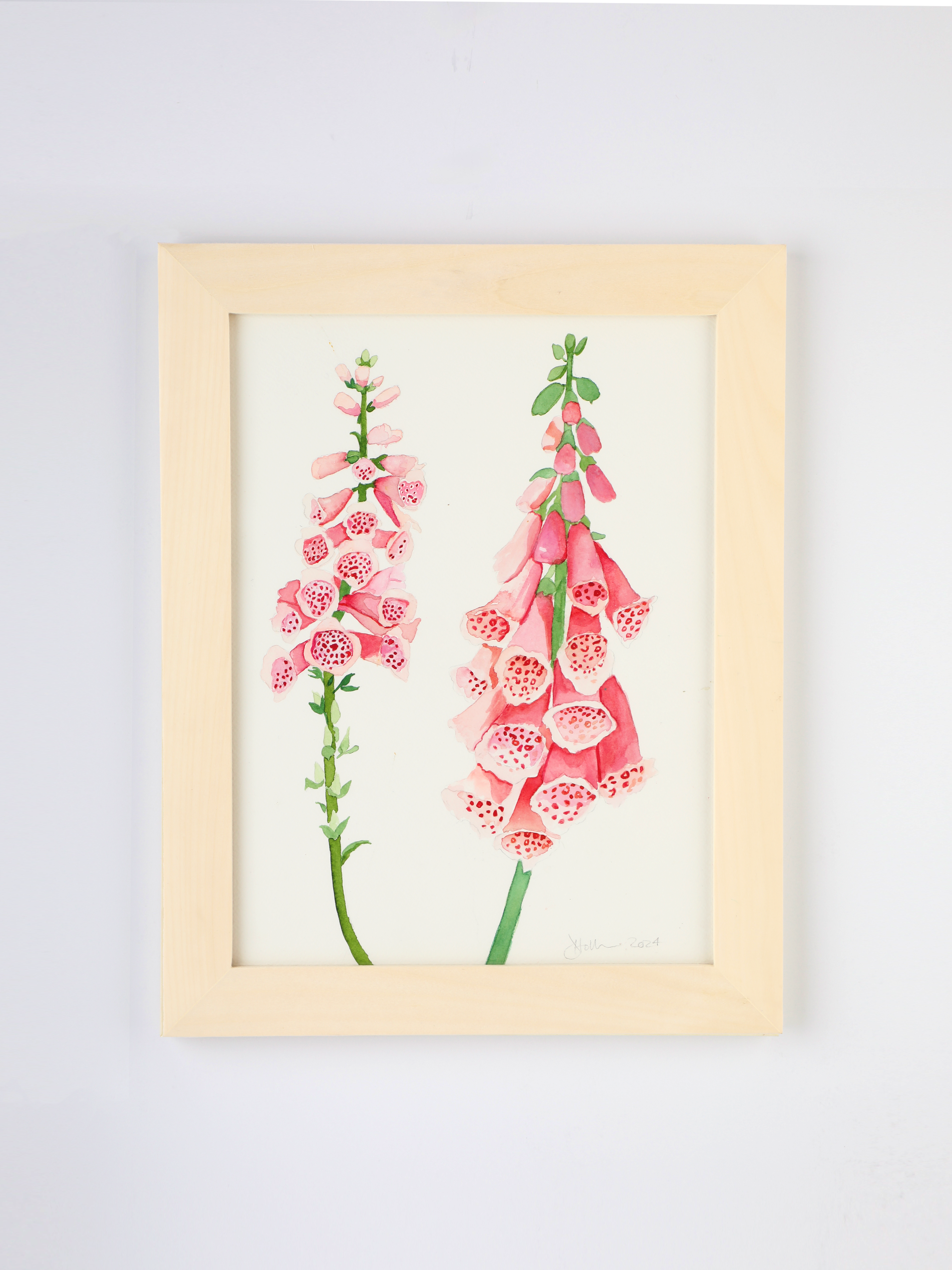Pink Foxglove