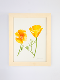 Golden Poppies No. 1