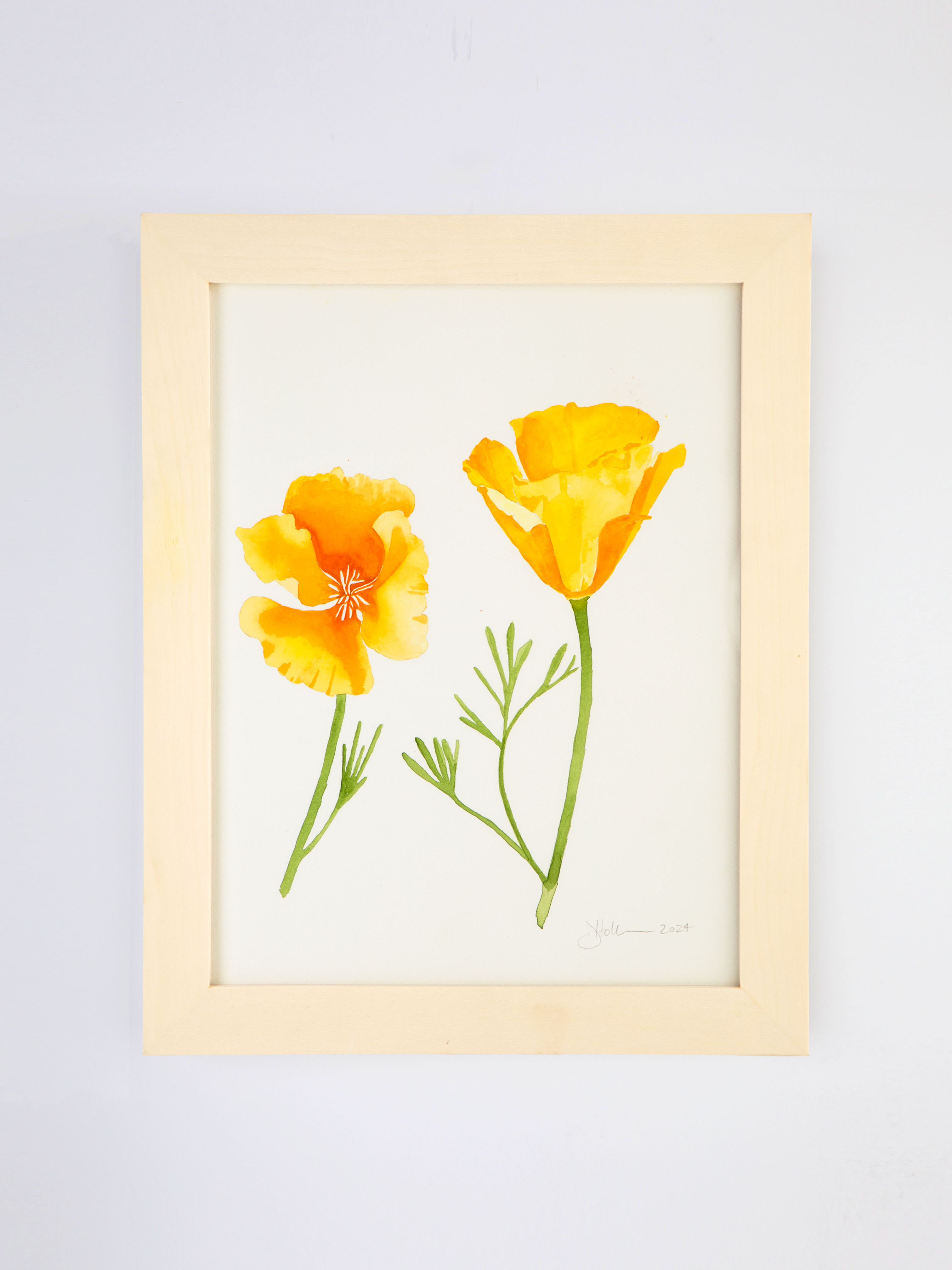 Golden Poppies No. 1