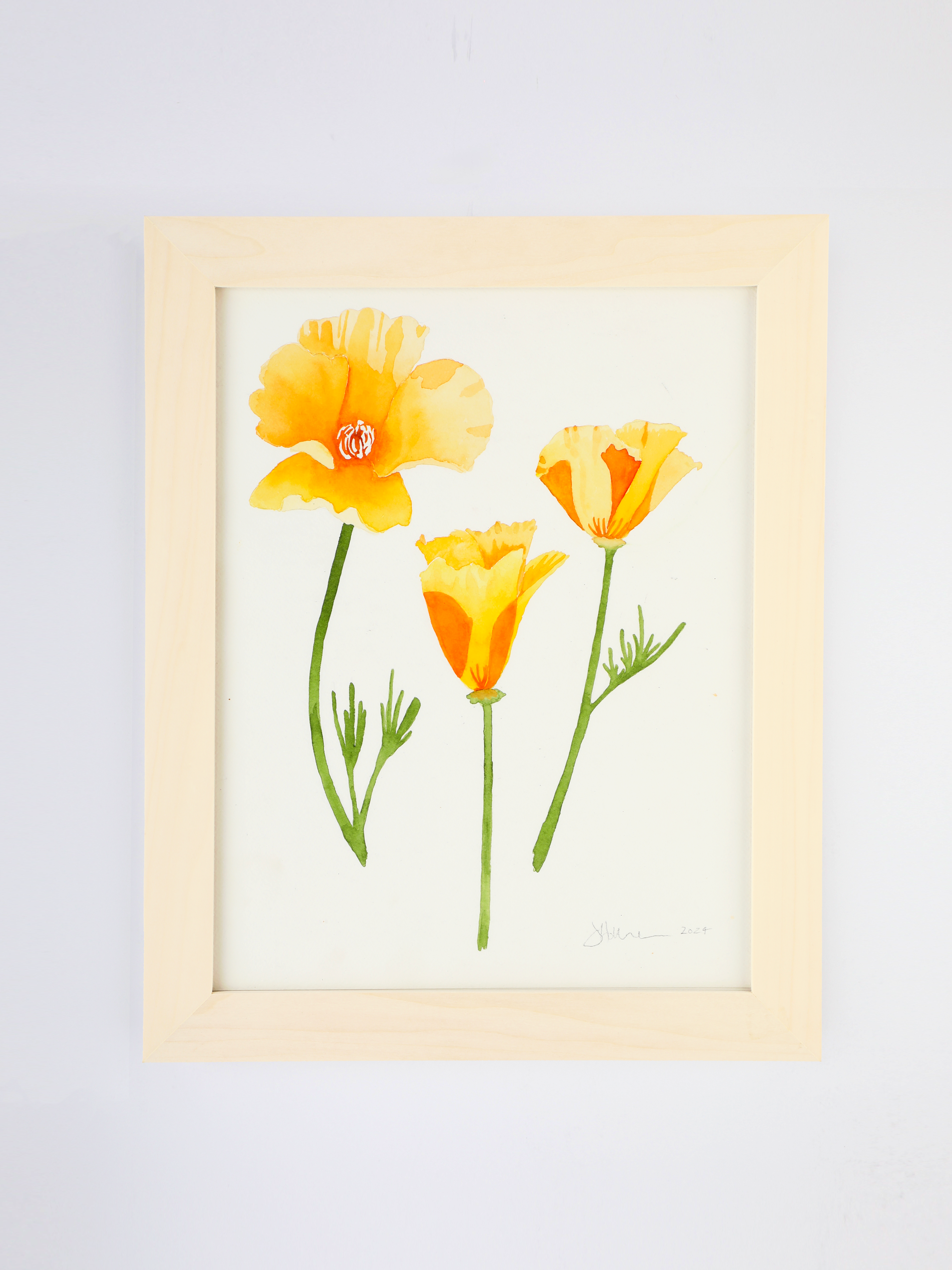 Golden Poppies No. 2