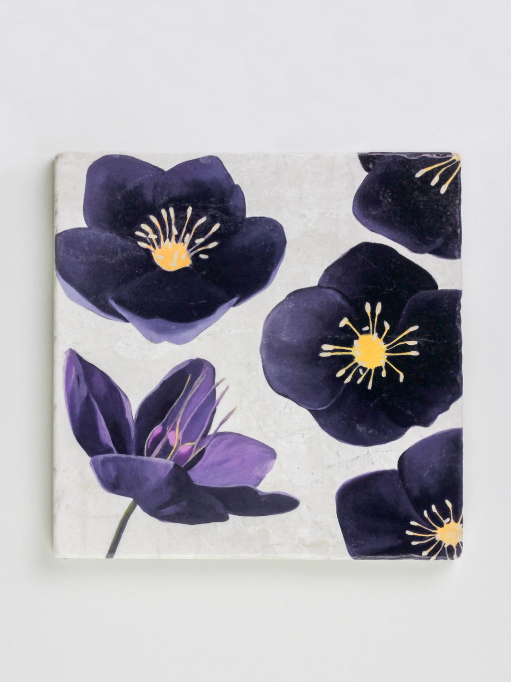 Trivet: Black Hellebore on Snow