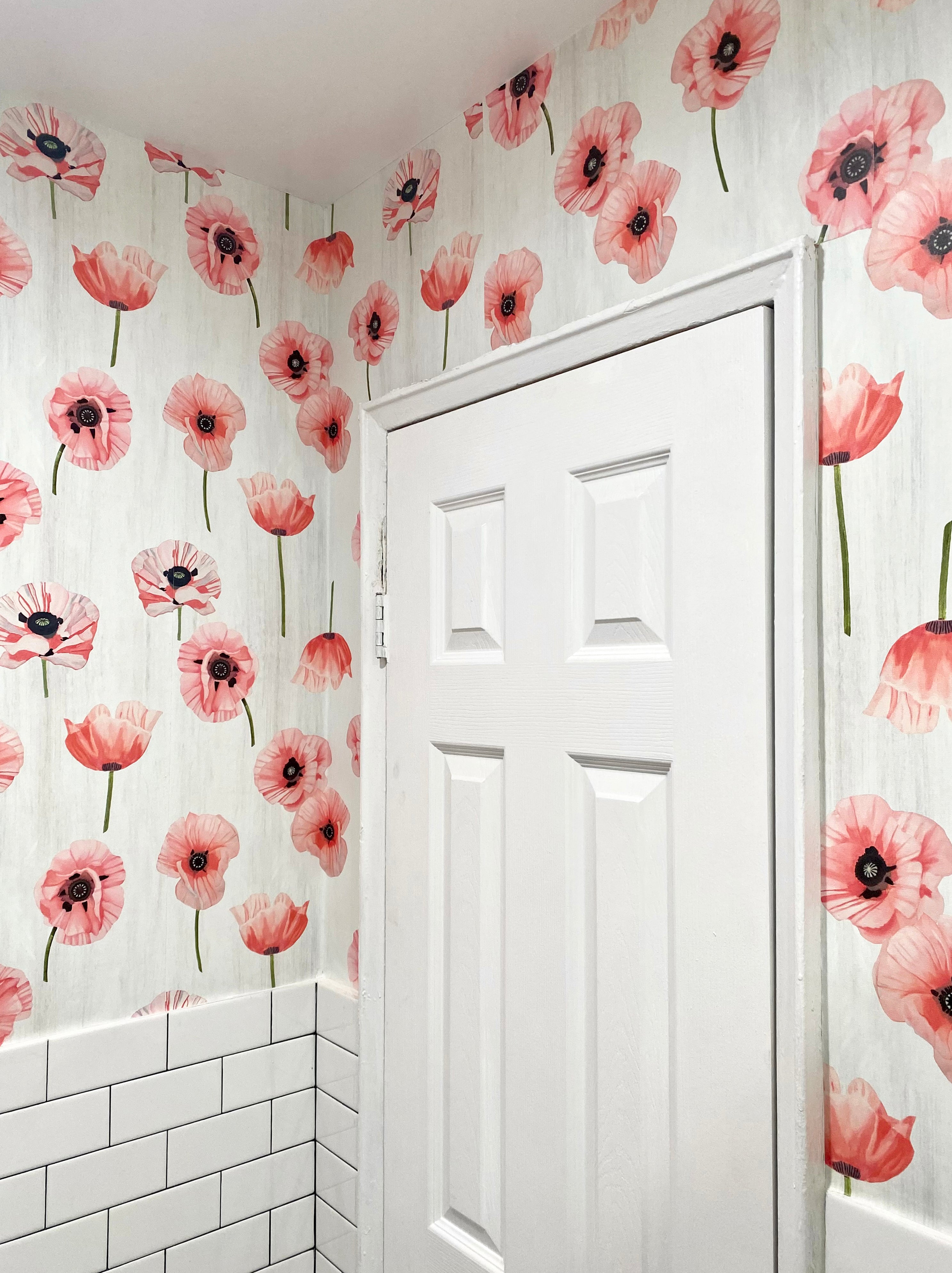 Wallpaper: Pink Poppies on Snow