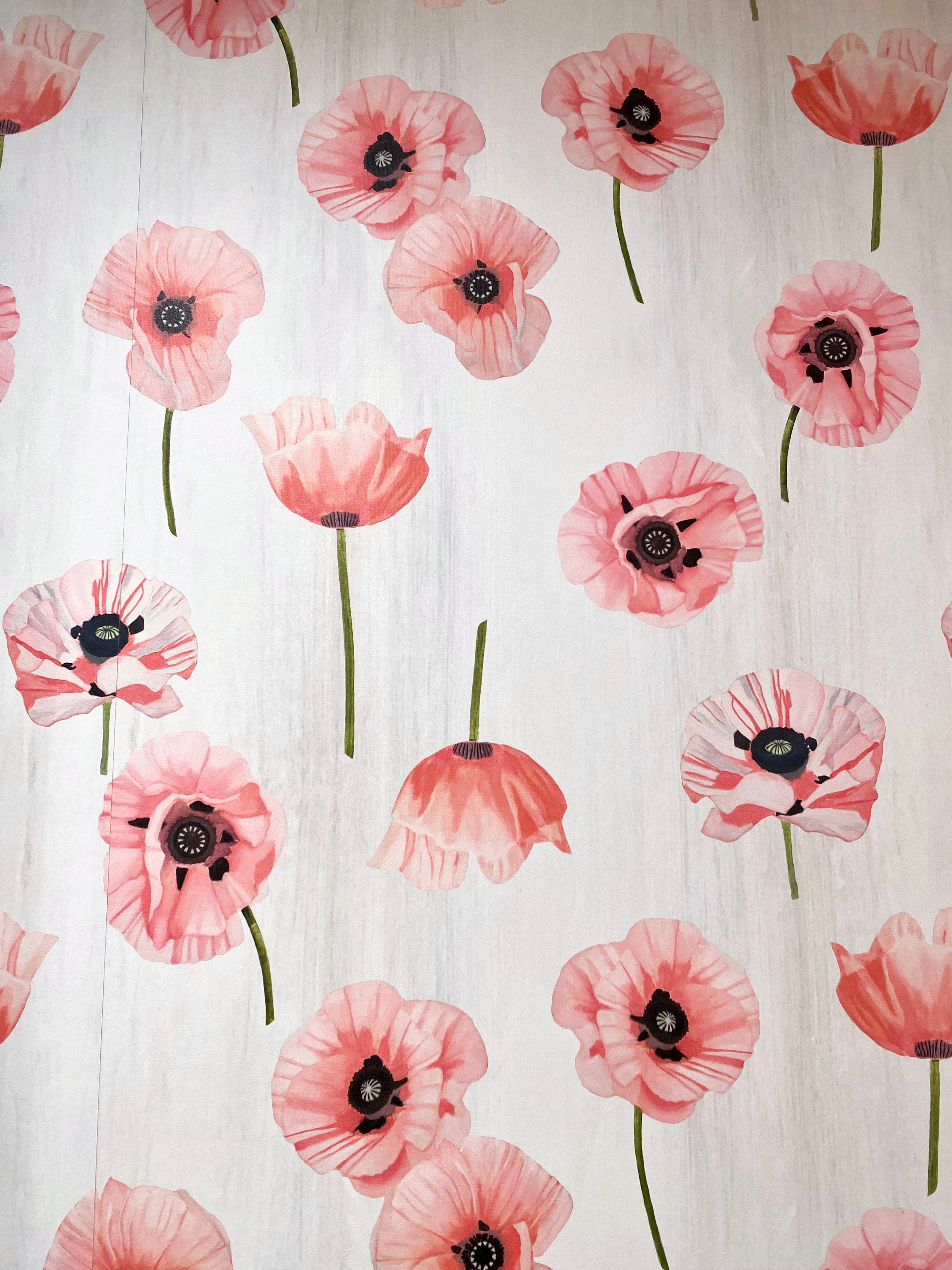 Wallpaper: Pink Poppies on Snow