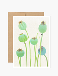 Notecard:  Poppy Pods on Ecru