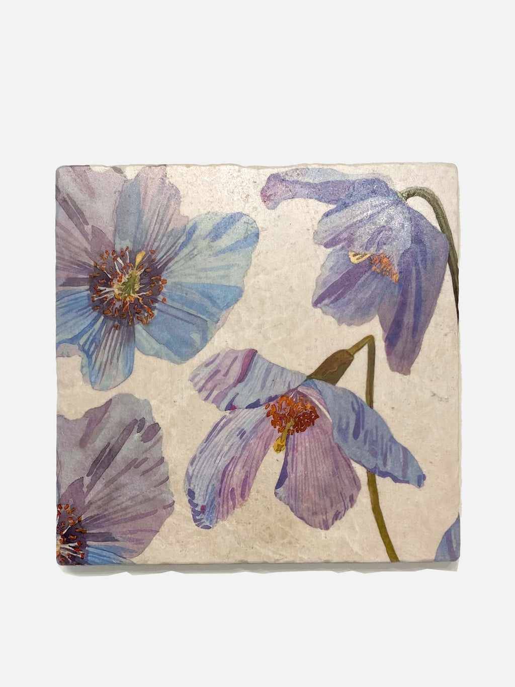 Trivet: Himalayan Blue Poppies on Ecru